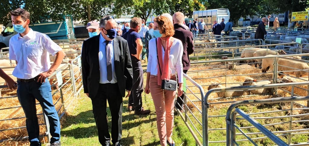 Présente à la 57ème foire nationale de reproducteurs ovins de Bellac : seule foire ovine maintenue en France cette année.